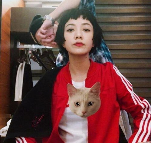 郭采洁晒出家中豪宅,装修与本人一样精致,不愧是文艺青年