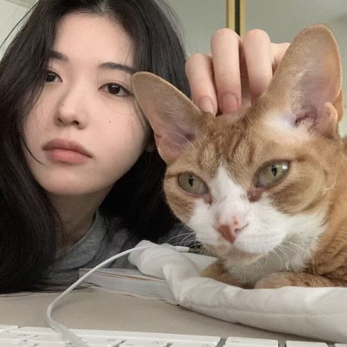 ins超喜欢的女生头像