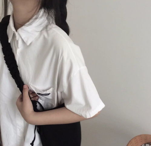 无标题