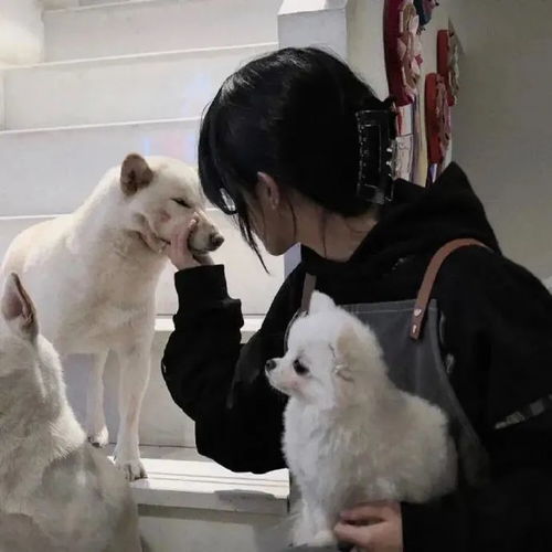 ins风女头讲承诺的人都精的要死信的人数学考9分