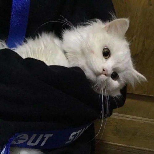 期末复习模式开启