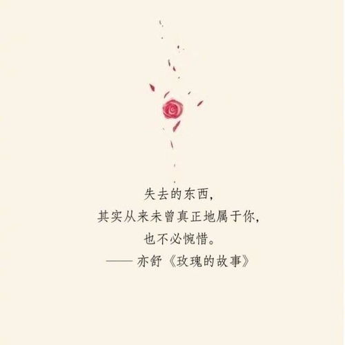 从亦舒的文字中看独立女性对爱情的态度,通透而理性,利落且洒脱