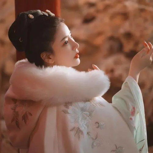 唯美古风女生头像日暮酒醒人已远满天风雨下西楼