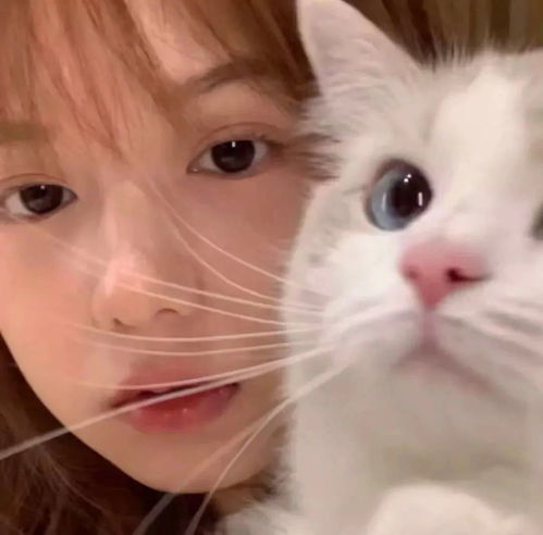 女生猫咪头像高级感小众巴黎女孩