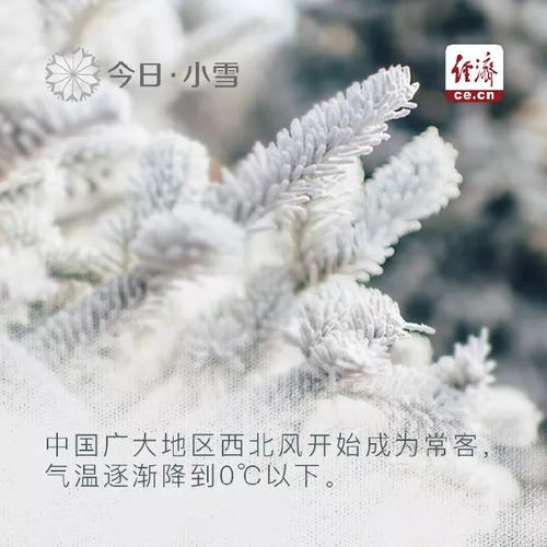 今日小雪冷空气已发货,请注意查收