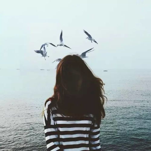 女人,我最欣赏这样活着