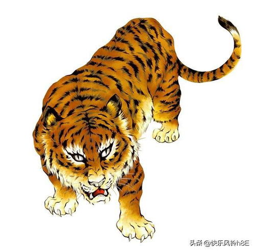 属相虎的晚年,越老越有福气的7个农历月份,金虎是你吗