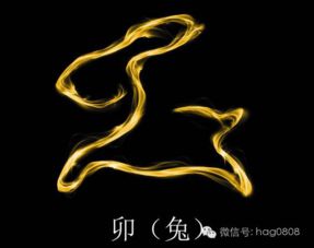 这几年生的人后福无穷,30岁家庭幸福,50富甲一方