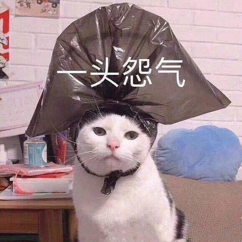 搞笑gif女司机看来是真的不太适合驾车