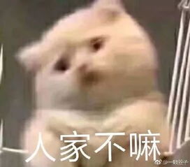 男子跟上市公司董事长女儿相亲,3天花费3万元