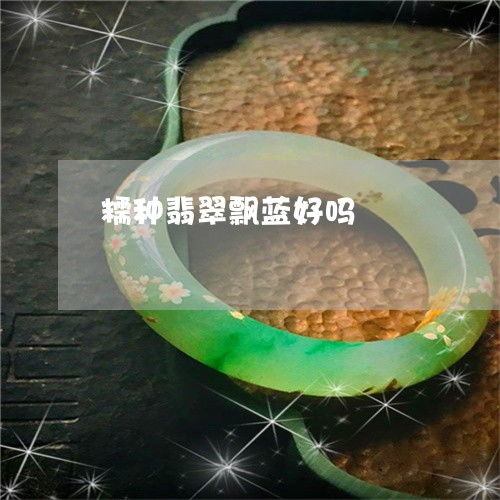 惊讶不已糯种翡翠飘蓝好吗糯种翡翠飘蓝好吗值钱吗本月推荐今日更新翡翠栏目
