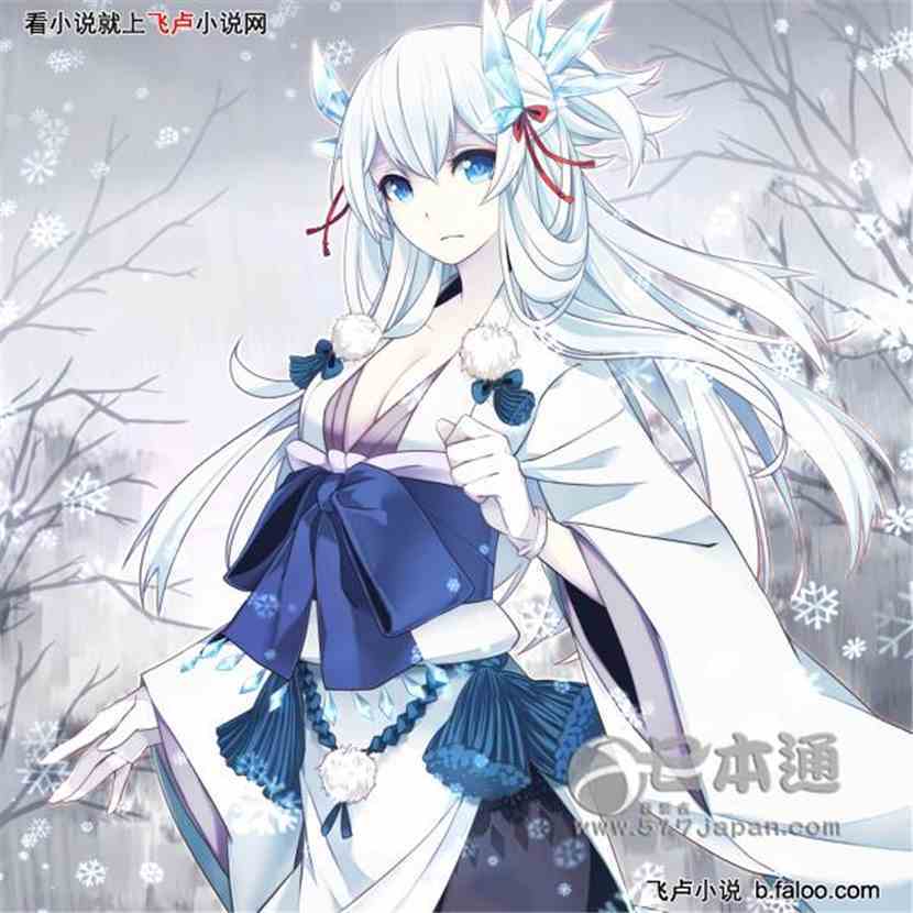 二次元数码人生第二十五章异常寒冷与雪冬女