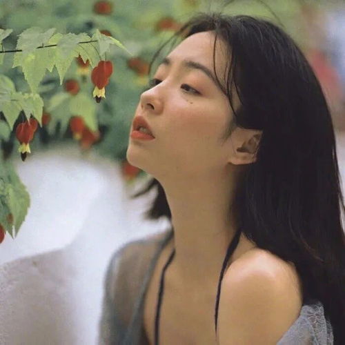 晚风迟来皆爱意的高质量文案