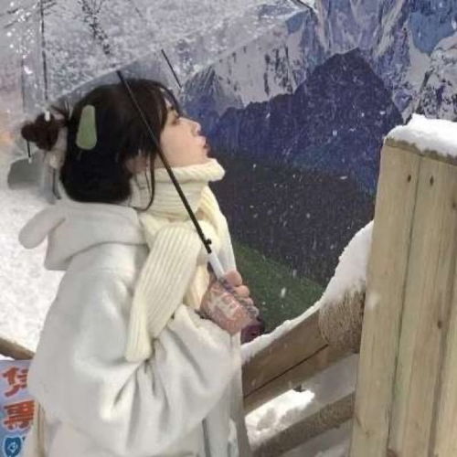 女生头像大约在冬季适合冬天的头像