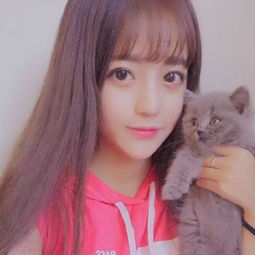 最新气质美女和萌猫咪头像大全小清新女生手抱动物头像2018