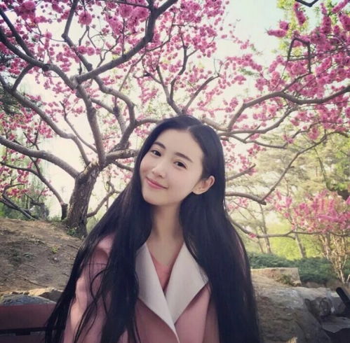 清纯之美女记中戏校花张辛苑