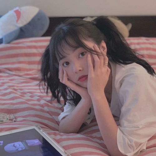 无标题