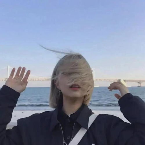 清凉一夏萌猫女头