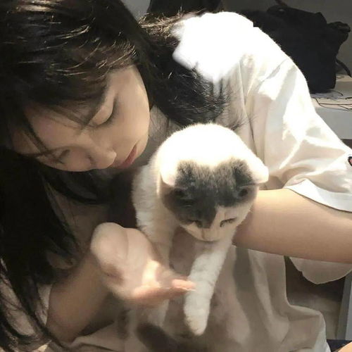 头像图片丨女生头像丨可爱的猫系女头1214