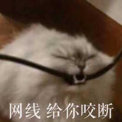 网易云里有什么沙雕搞笑的段子