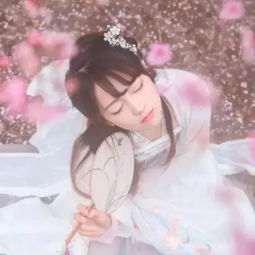 2019年南景桃花节开幕式时间敲定最全攻略戳这里