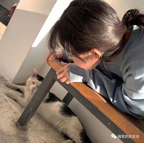 那些爱意满满溢出屏幕的文案
