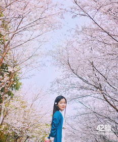 报名3.10上海樱花节女子10公里精英赛在早樱花海下与你相遇