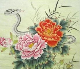 女人越老越有福的3种生肖,一辈子不缺钱福气