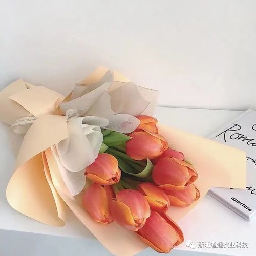 一束花的浪漫,永不过时