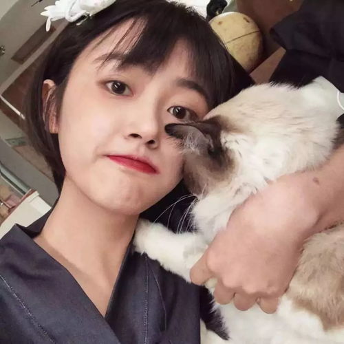 每日头像千种离别都不过是平常光景而已