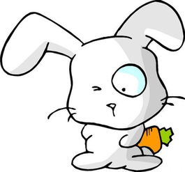 六十年一遇不破而立2017年生肖兔运势