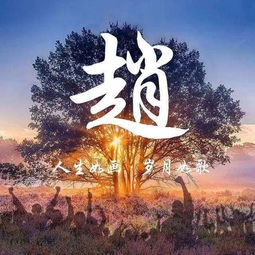 大沈阳说如东百家姓系列赵姓的来源