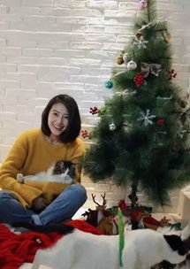 从清纯女孩到幸福人妻,高圆圆出道20年的美丽蜕变