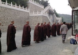 网曝大悲寺敛财千万居士生活如奴隶