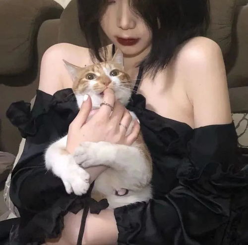 头像容易招桃花的qq女生头像