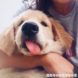 爆笑段子在公园和大爷下象棋,有点紧张老公