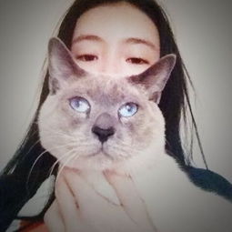 小毛驴