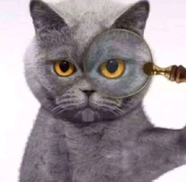 抖音霸气蓝猫竖拇指表情包图片汇总如此社会666