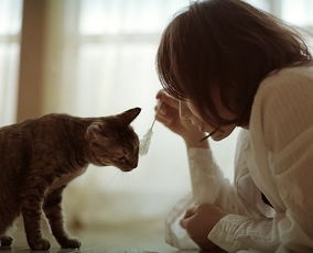 女人如猫
