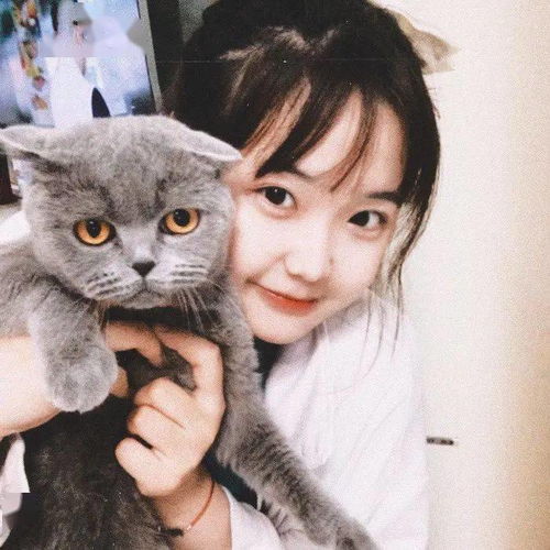 超仙少女心头像