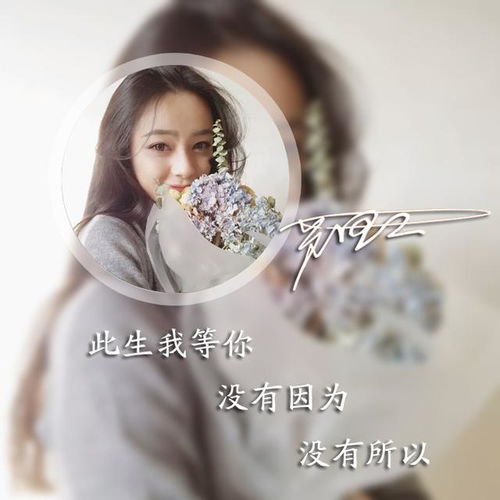唯美画中画三行情话微信头像,签名头像,你的头像也可以这么美