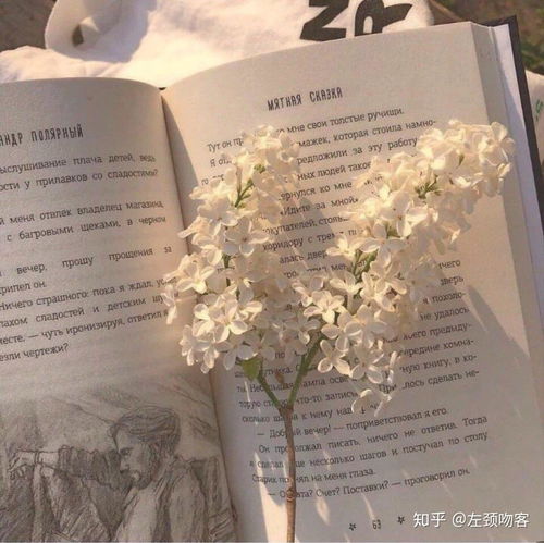 文艺女生头像干净好运文案