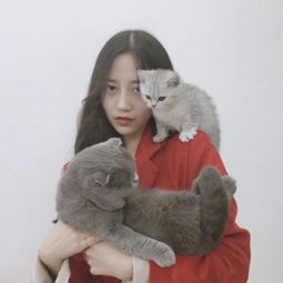 杀手有了感情,早就不酷了