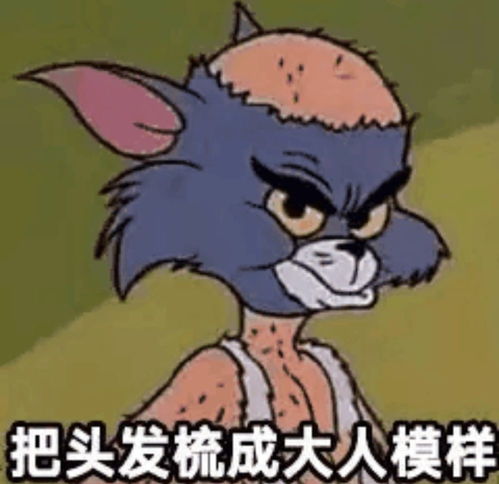 那些又惨又好笑的沙雕朋友圈文案