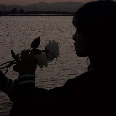 头像夕阳头像