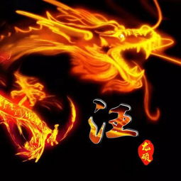 快来换个微信头像吧,25款龙头像任你挑选,精心为你设计,请查收