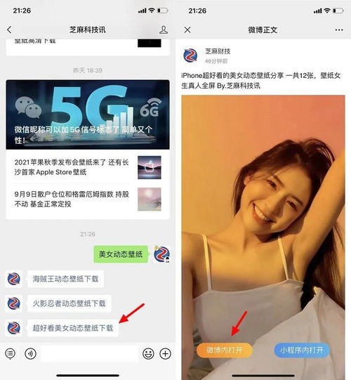 iphone可以设置美女动态壁纸了超好看的女生真人全屏