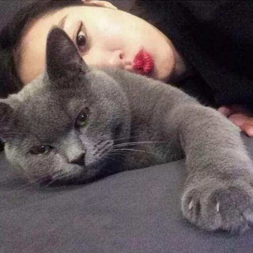 一个女生在喂猫头像尿血