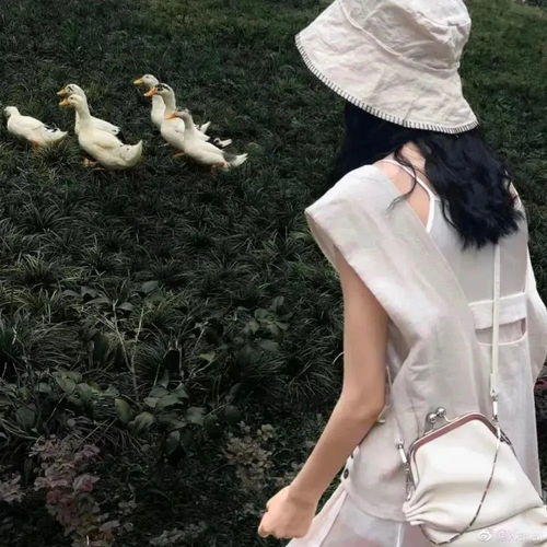 头像热爱漫无边际生活自有分寸