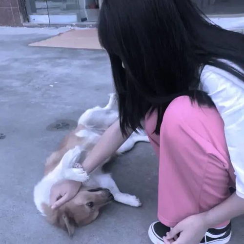 无标题